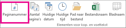 Klik in de groep Elementen voor koptekst & voettekst op Paginanummer