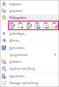 Groep met vijf opties voor het plakken van Excel-grafieken in Word