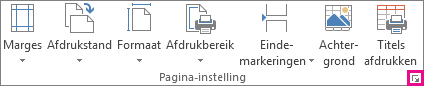 Startpictogram voor dialoogvenster in de groep Pagina-instelling