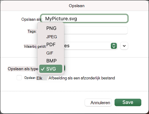 Dialoogvenster Opslaan als in Excel 2021 voor Mac met SVG-optie geselecteerd