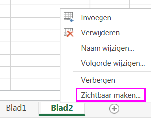 Klik met de rechtermuisknop op een bladtab om te controleren of er verborgen werkbladen zijn.