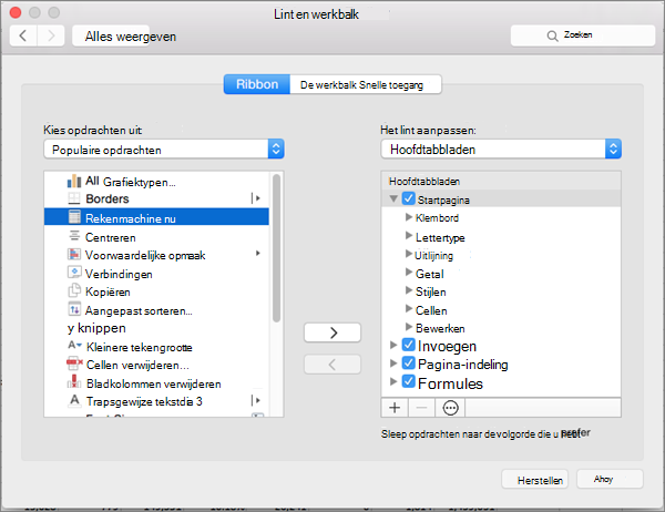 Schermafbeelding van het dialoogvenster Lint aanpassen op Mac