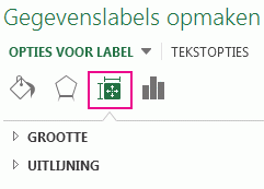 Gegevenslabels opmaken Grootte & het eigenschappenpictogram en deelvenster