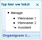 Tekstvenster met opsommingstekens voor manager, medewerker en assistent.