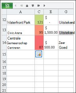 Gevonden rij in Mobile-viewer voor Excel