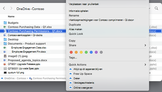 Toont een OneDrive-scherm met een geopend menu.