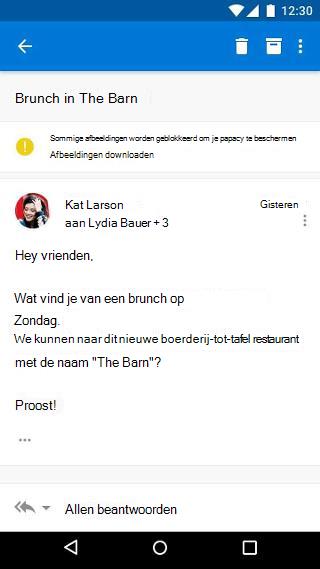 " Sommige afbeeldingen zijn geblokkeerd" wordt boven aan een e-mailbericht weergegeven