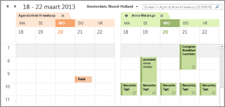 Geïmporteerde Google-agenda naast Outlook-agenda