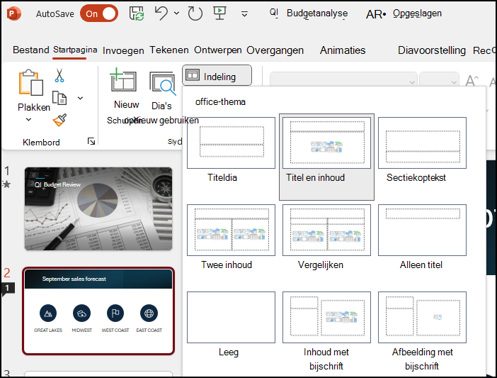 PowerPoint-dia-indelingen