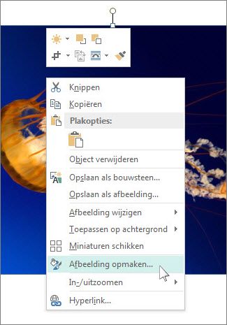 Schermafbeelding van de opties voor het opmaken van afbeeldingen in Publisher.