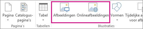 Schermafbeelding van de opties voor het invoegen van afbeeldingen in het menu Invoegen in Publisher.