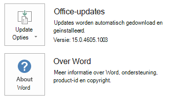 Schermafbeelding van de update-opties met de weergegeven versie.