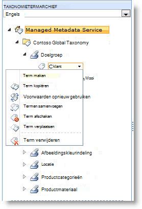 Gebruik het menu om termen binnen een termenset te beheren.