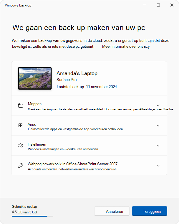 Schermopname van de Windows Back-up-app in Windows 11.