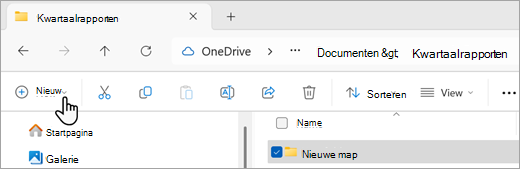 Schermopname die laat zien hoe u een nieuwe map kunt maken met behulp van Bestandenverkenner.