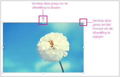 Afbeelding met formaatgrepen gemarkeerd