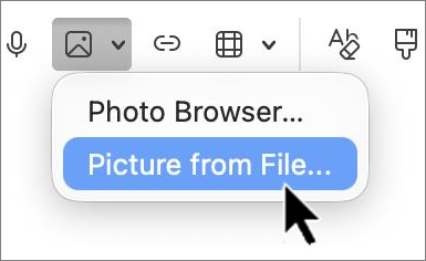 'outlook-mac-insert-picture-screenshot