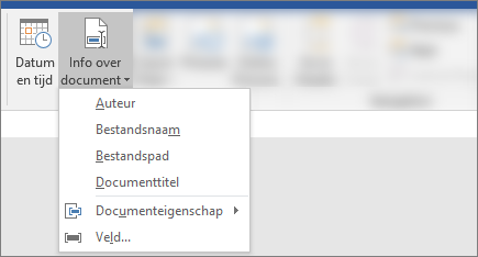 Schermopname van de knoppen Documentgegevens en Datum & Tijd op het lint Word
