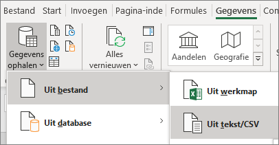 De optie Uit tekstbestand is gemarkeerd op het tabblad Gegevens.