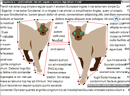 Verplaatste teruglooppunten bewerken