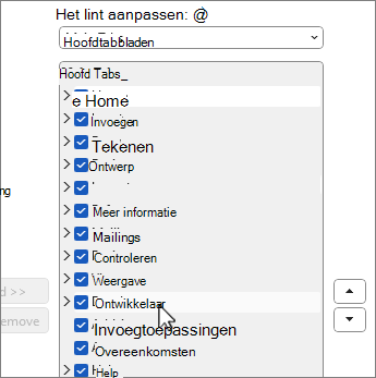Dialoogvenster Lint aanpassen met ontwikkelaar geselecteerd
