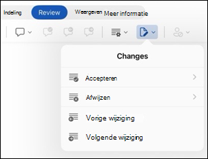 Word voor iPad opties wijzigingen controleren