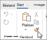 Knop Opmaak kopiëren/plakken op het lint