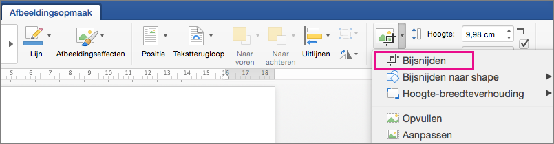 Op het tabblad Afbeeldingsopmaak is Bijsnijden gemarkeerd.