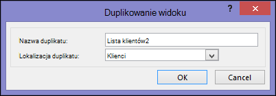 Duplicate view dialog showing name of duplicate box and location for duplicate box.