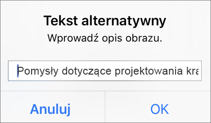 Menu Tekst alternatywny dla obrazu w aplikacji Outlook dla systemu iOS