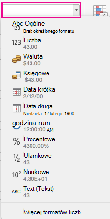 Pole Formaty liczb