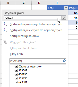Menu Filtr, menu Wartość wyświetlana, wyświetlana lista pól z typu połączonych danych
