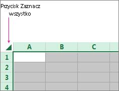 Przycisk Zaznacz wszystko