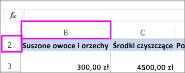 Ukryta pierwsza kolumna i pierwszy wiersz