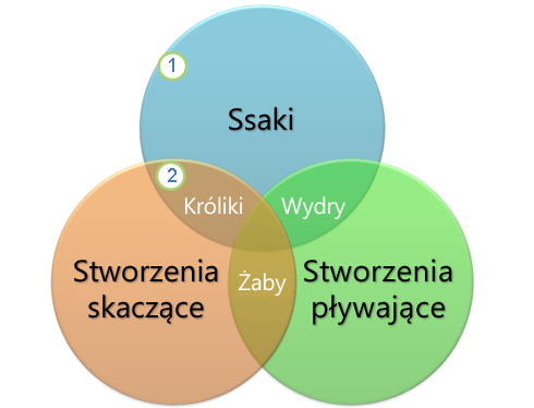 Diagram Venna