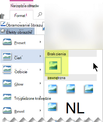 Wyłączając niepożądany efekt obrazu, wybierając opcję Brak efektu.
