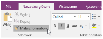 Zrzut ekranu przedstawiający przycisk Malarz formatów w programie OneNote 2016.