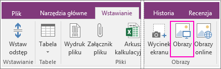 Zrzut ekranu przedstawiający przycisk Wstaw obrazy w programie OneNote 2016.