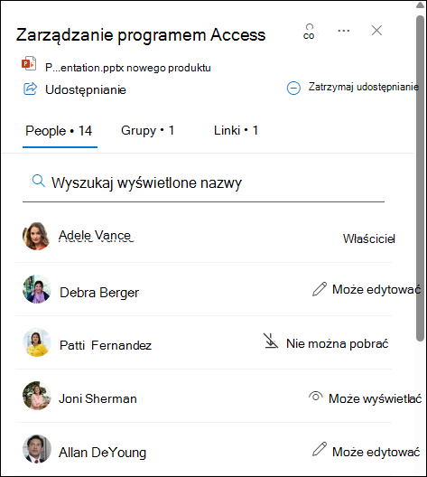 Na karcie podręcznej znajduje się lista osób współużytkujących dokument