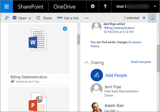Zrzut ekranu przedstawiający okienko Szczegóły w usłudze OneDrive dla Firm w programie SharePoint Server 2016 z dodatkiem Feature Pack 1