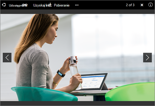 Zrzut ekranu przedstawiający przeglądarkę obrazów w usłudze OneDrive dla Firm w programie SharePoint Server 2016 z dodatkiem Feature Pack 1