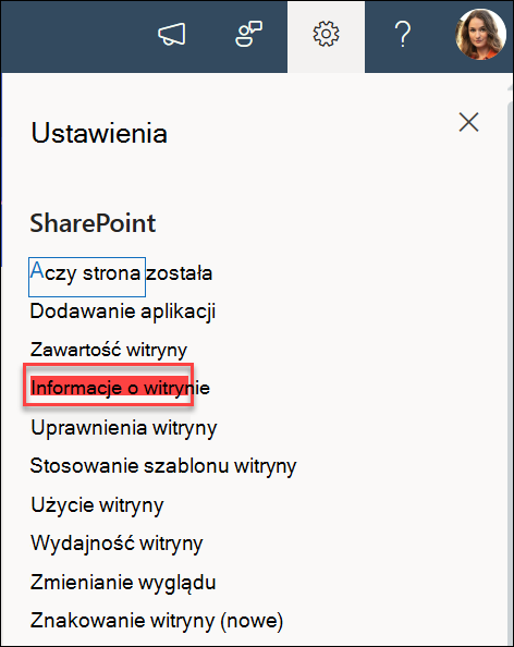 Opcja Informacje o witrynie w oknie dialogowym Ustawienia.