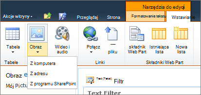 Kliknij przycisk obrazu na wstążce i wybierz pozycję z komputera, adresu lub programu SharePoint.