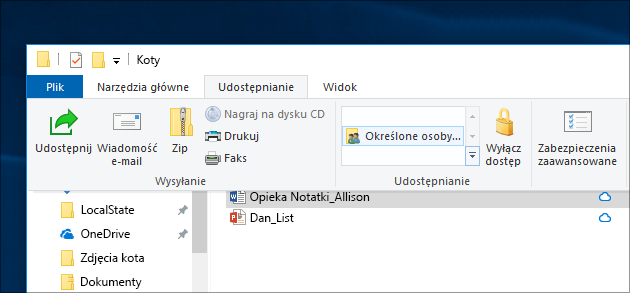 Udostępnianie pliku określonym osobom w sieci