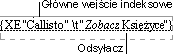 Pole XE (wpis indeksu)