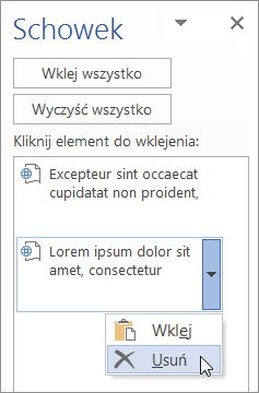 Przedstawia usuwanie skopiowanego elementu ze Schowka