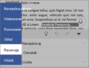 Karta Recenzja