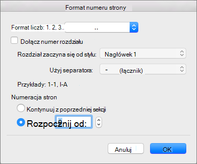 Wybierz styl numeracji i numer początkowy w obszarze Format numeru strony.