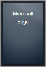 Pusty zasobnik przeglądarki Microsoft Edge w bibliotece usługi Steam.