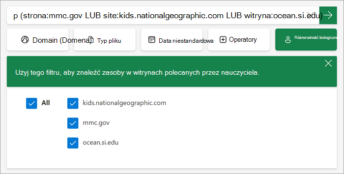 zrzut ekranu przedstawiający filtr niestandardowy widziany przez uczniów, gdy jest włączony.